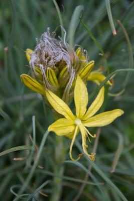 Прикрепленное изображение: IMG_2166.jpg